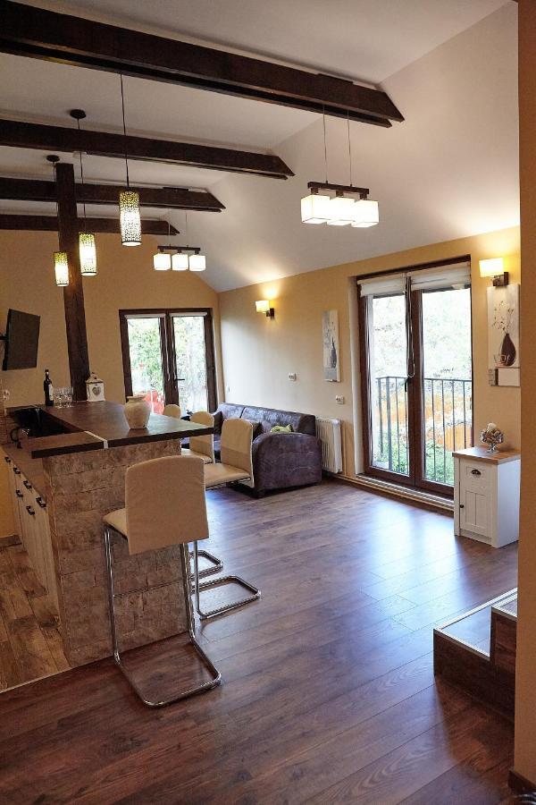 Apartament Rozelor Брашов Экстерьер фото